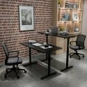 Spacetronik SPE-114RG electric table frame Spacetronik SPE-114RG electric table frame