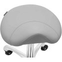 Physa Balno cosmetic stool with wheels up to 150 kg YORK - dark gray Physa Balno cosmetic stool with wheels up to 150 kg YORK - dark gray