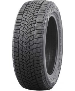 Nankang Ice Activa 2 215/55 R17 98T XL