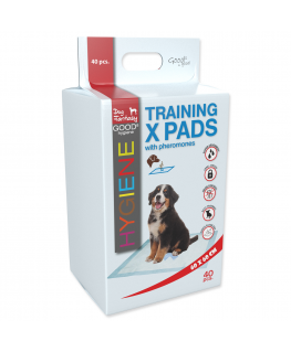 Absorbent pads - Dog Fantasy X pets pads 60*60 (55*55cm) 40pcs