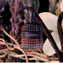 Valentino Uomo Born In Roma Intense EDP - 50 ml Valentino Uomo Born In Roma Intense EDP - 50 ml