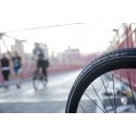 Schwalbe Marathon Plus 26" Miestas / trekas Padanga naudojama su kamera Schwalbe Marathon Plus 26" Miestas / trekas Padanga naudojama su kamera