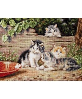 luca S Cats SB556