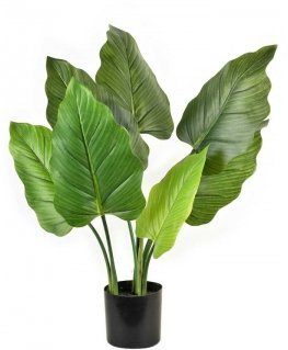 Mondex Since 1986R VIRIDIS Artificial alocasia flower in pot H65cm