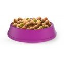 Whiskas 5900951014352 cats dry food 14 kg Adult Chicken Whiskas 5900951014352 cats dry food 14 kg Adult Chicken