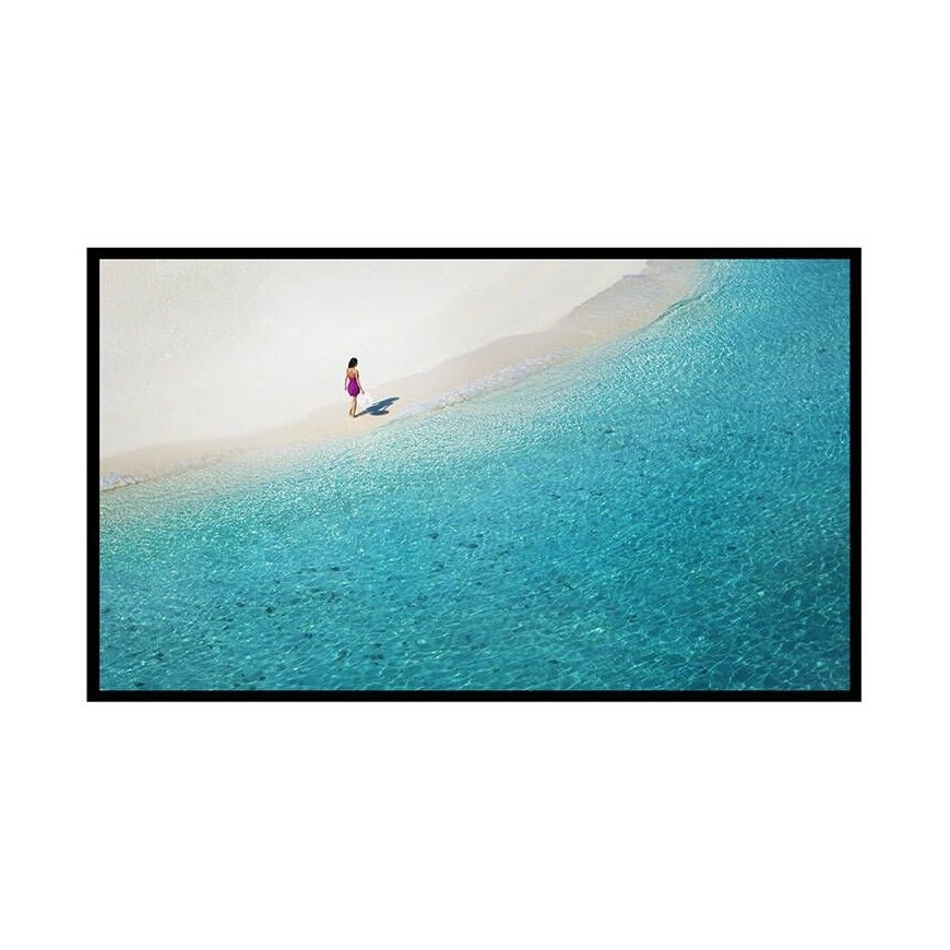 BlitzWolf BW-VS4 120" projection screen.