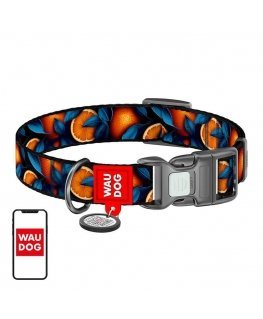 Waudog "Oranges" nylon dog collar with QR code, size M