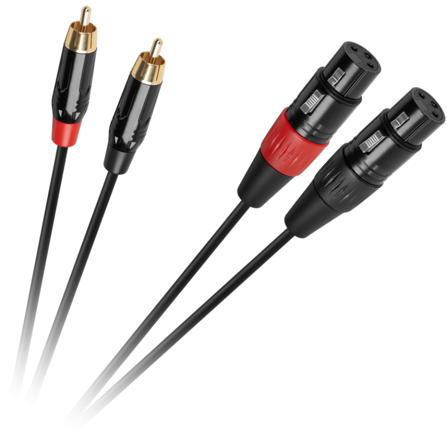 Cabletech XLR - 2RCA connecting cable 1m