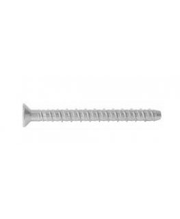 Betonsraigtis Rawlplug R-LX-08X075-CS-ZF 9,9x75 mm 100 vnt.
