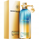 Montale Paris Aoud Lagoon UNISEX (Kvepalai Vyrams ir Moterims) EDP 100ml Montale Paris Aoud Lagoon UNISEX (Kvepalai Vyrams ir Moterims) EDP 100ml