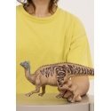 schleich Dinosaurs 15037 mängukujuke schleich Dinosaurs 15037 mängukujuke