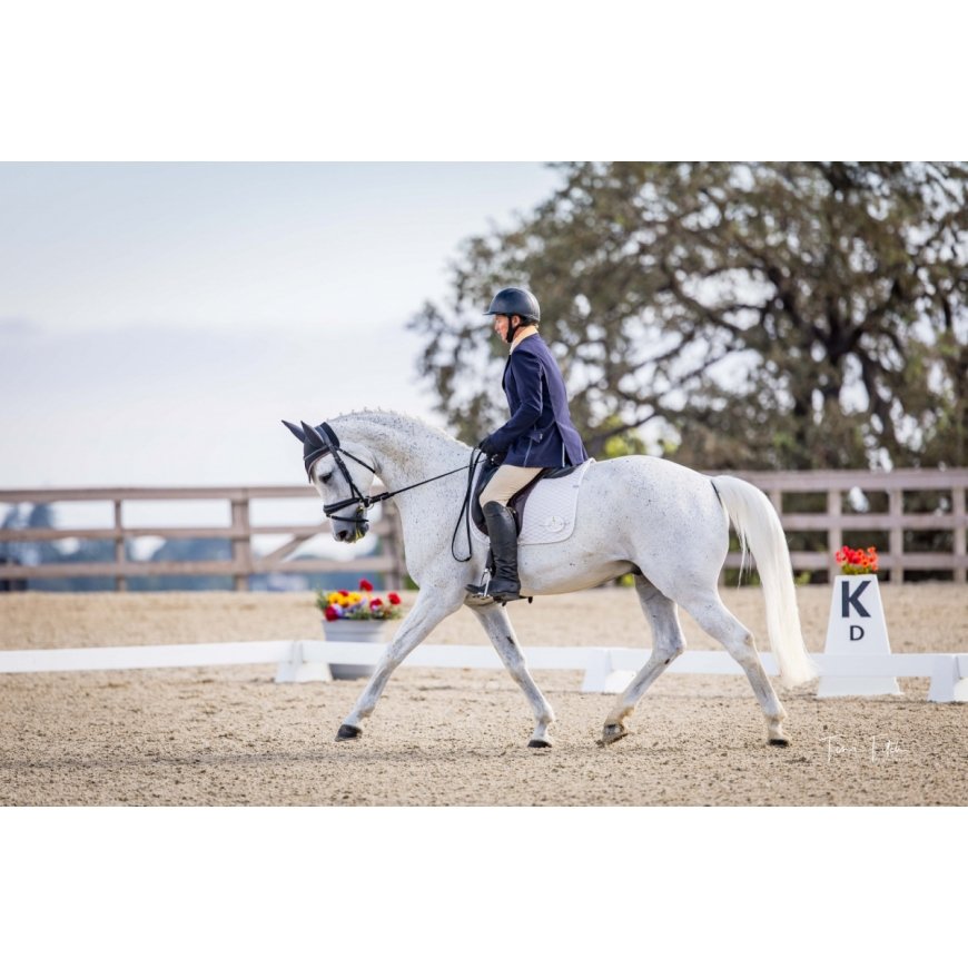 Horse Polly Gray