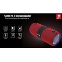 Pexman PM-10W Pexman PM-10W