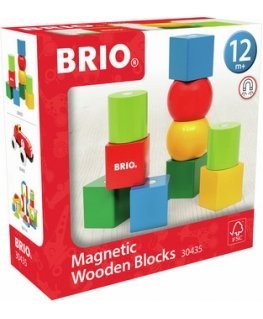 BRIO 30435 - Magnetic blocks