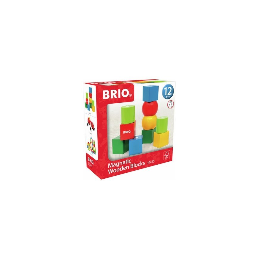 BRIO 30435 - Magnetic blocks