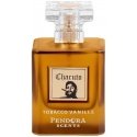 Alkotest PARIS CORNER Charuto Tobacco Vanille EDP spray 100ml