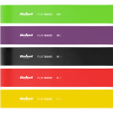 Set of latex exercise bands 2m - Long Band LTs-1, 1-5kg, 5 bands, REBEL ACTIVE Set of latex exercise bands 2m - Long Band LTs-1, 1-5kg, 5 bands, REBEL ACTIVE