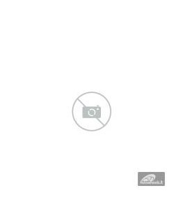 Continental Padangos WinterContact TS870 P 106 V XL ( C B B 73dB )