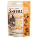BR.CAT POUCHES CHICKEN&TURKEY - mokra karma dla kota - 100g BR.CAT POUCHES CHICKEN&TURKEY - mokra karma dla kota - 100g