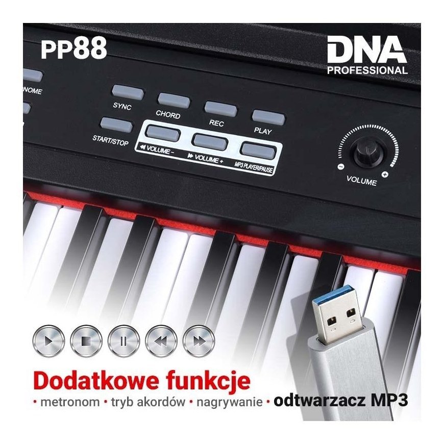No name DNA PP 88 digitālā