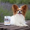RAW PALEO Adult Monoprotein Beef - märg koeratoit - 400 g RAW PALEO Adult Monoprotein Beef - märg koeratoit - 400 g