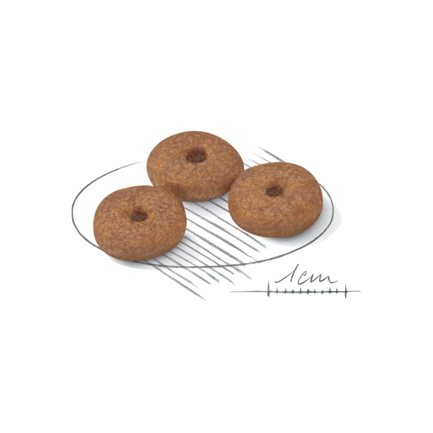 Royal Canin Mini Ageing 12+ 3,5 kg Aikuinen – 3