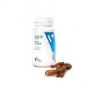 VET EXPERT Skin&Coat - skin and coat preparation for dogs and cats - 30 caps. VET EXPERT Skin&Coat - skin and coat preparation for dogs and cats - 30 caps.