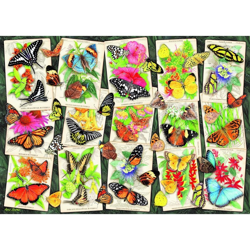 Ravensburger pusle 1000 tk Eksootilised liblikad – 2