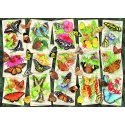Ravensburger puzzle 1000 pieces Exotic butterflies Ravensburger puzzle 1000 pieces Exotic butterflies
