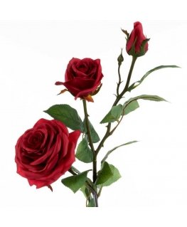 Eurofirany KW / NATU / 269 / RED