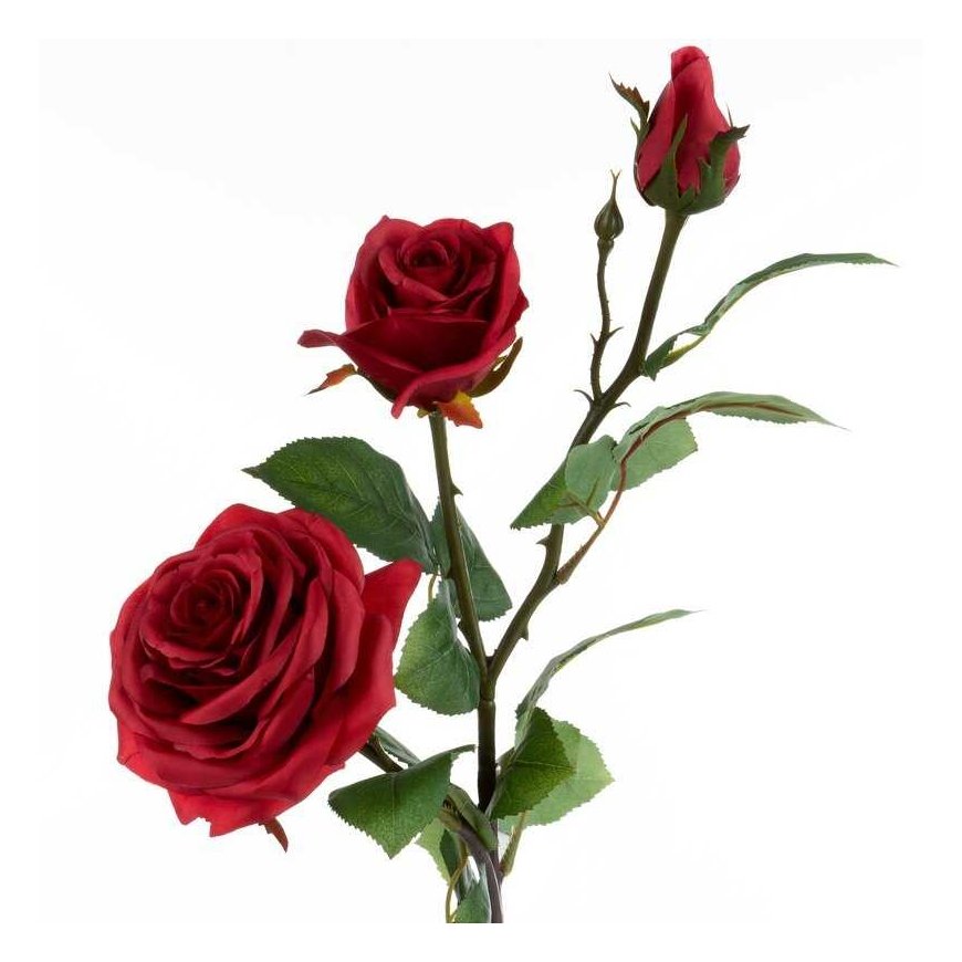 Eurofirany KW / NATU / 269 / RED