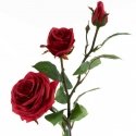 Eurofirany KW / NATU / 269 / RAUDONA Eurofirany KW / NATU / 269 / RAUDONA