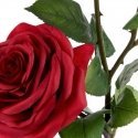 Eurofirany KW / NATU / 269 / RED Eurofirany KW / NATU / 269 / RED