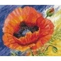 Alisa Beldizart Summer Kiss S2-04 Alisa Beldizart Summer Kiss S2-04