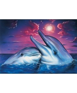 Beldizart Delfinai 38 x 27 cm WD223