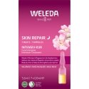 Weleda Wild Rose 7 Nights Intensive Treatment Skin Serumas Weleda Wild Rose 7 Nights Intensive Treatment Skin Serumas