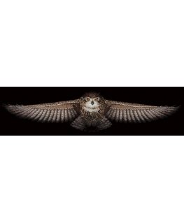 Beldizart Owl SANS-44