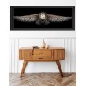 Beldizart Owl SANS-44 Beldizart Owl SANS-44