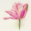 Beldizart Tulips. Light pink S2-42