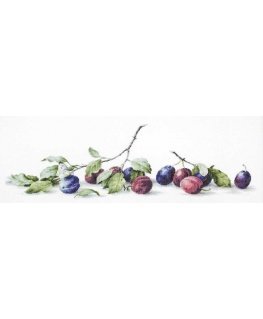 luca S Plum SB2257