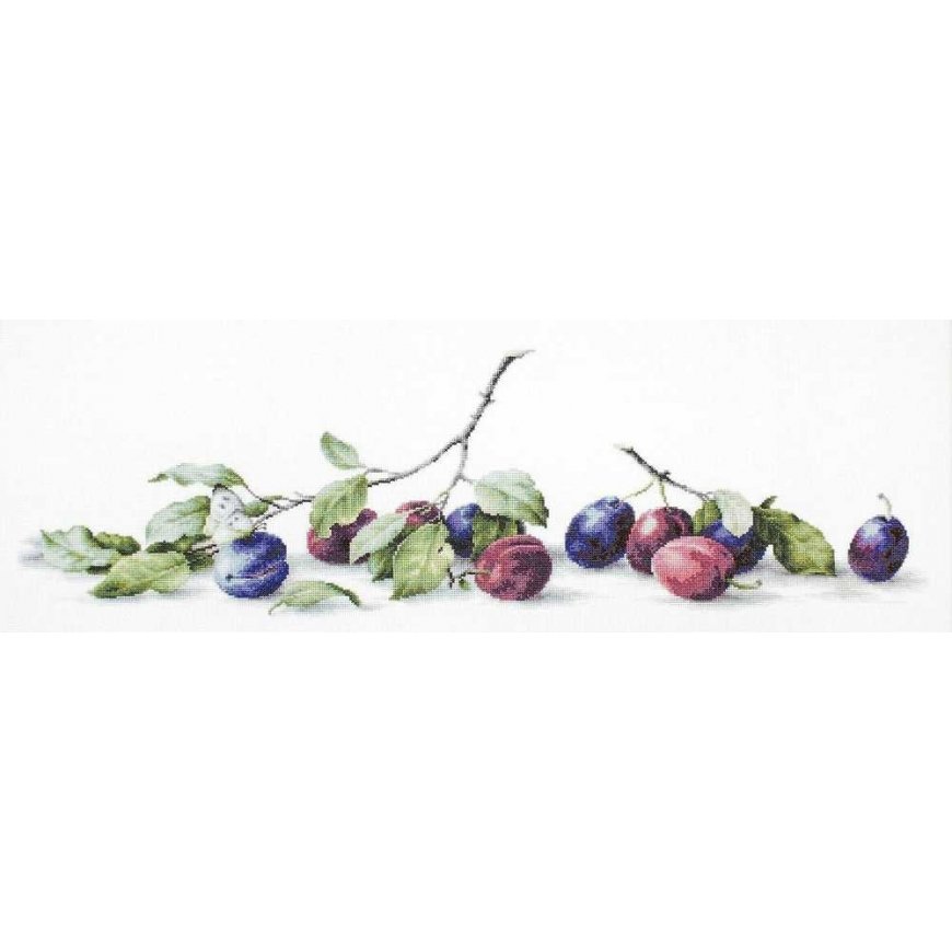 Luca S luca S Plum SB2257