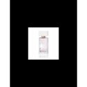 Elizabeth Arden e Arden White Florale Tea et 50 Vap Elizabeth Arden e Arden White Florale Tea et 50 Vap