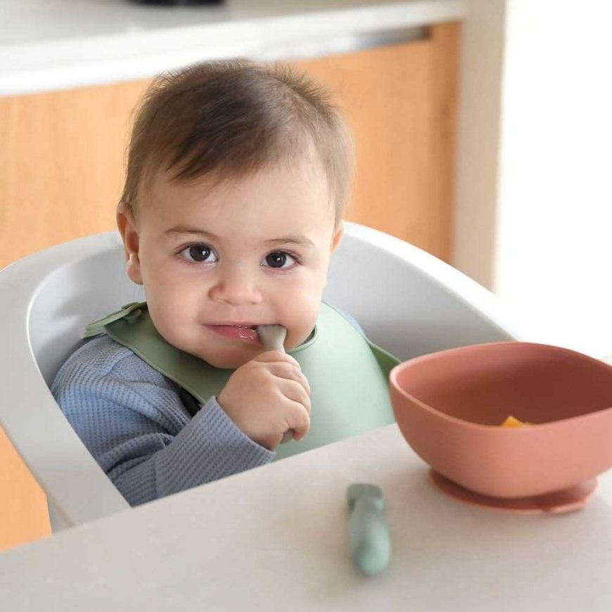 BEABA 2 PCS. SET OF SILICONE BELTS +4 MONTHS, TERRACOTTA/VELVET Gray – 4