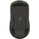 Pelė TRACER GAMEZONE THOR RGB (2.4G+BT)