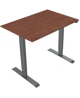 Desk, electrically adjustable, 75x120cm, regulacja rozstawu 500mm, gray, 70 kg nośność, ergo