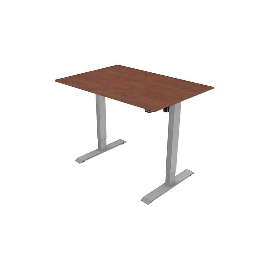 Biurko, elektycznie regulowany, 75x120cm, regulacja rozstawu 500mm, pilka, 70 kg nośność, ergo – 2