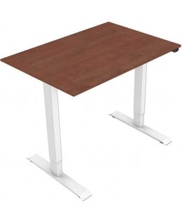 Rašomasis stalas, elektra reguliuojamas, 75x120 cm, tarpai 500 mm, balta, keliamoji galia 70 kg, ergo
