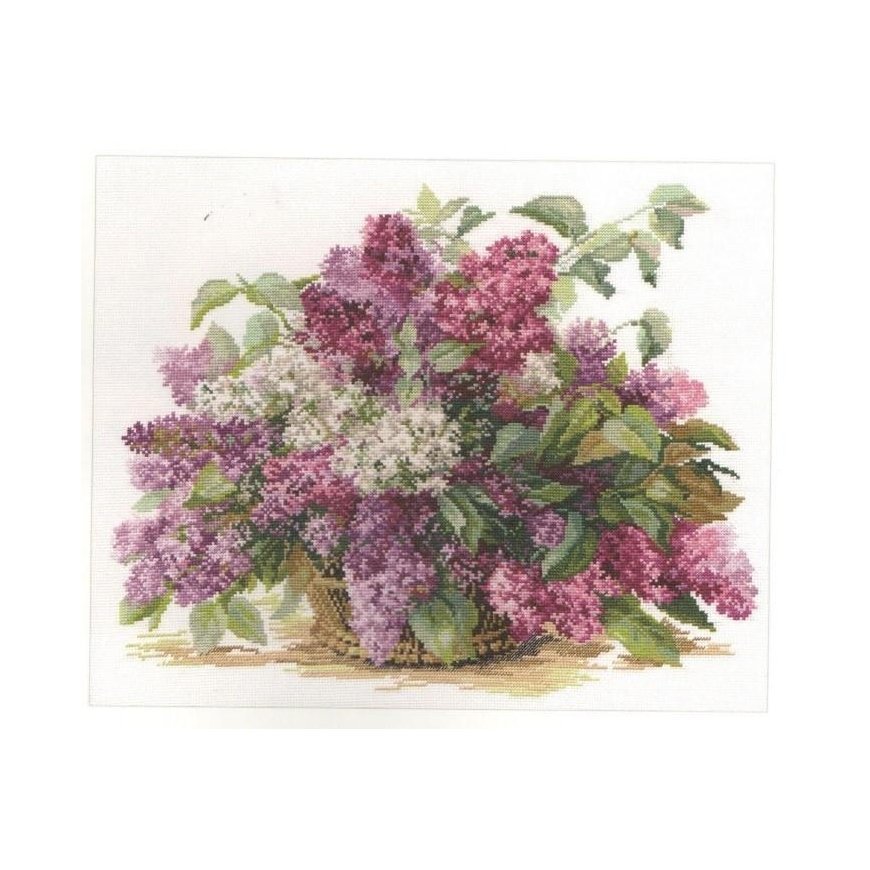 Beldizart Alyvinė S2-22 – 4