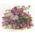 Beldizart Lilac S2-22 Beldizart Lilac S2-22