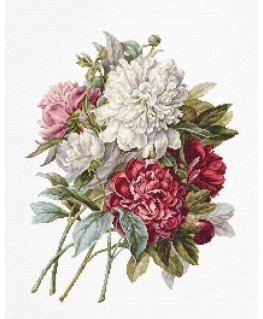 luca S Peonies SB2355